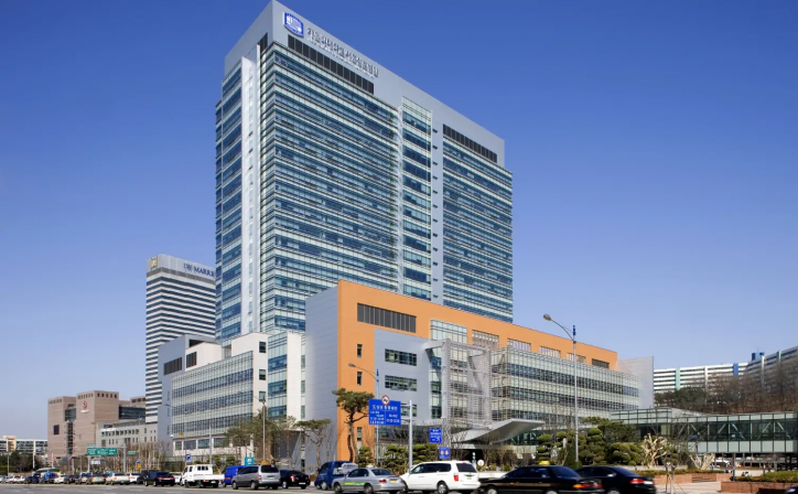 Клиника святой Марии (Seoul St. Mary's Hospital), Южная Корея, Сеул - вид 1