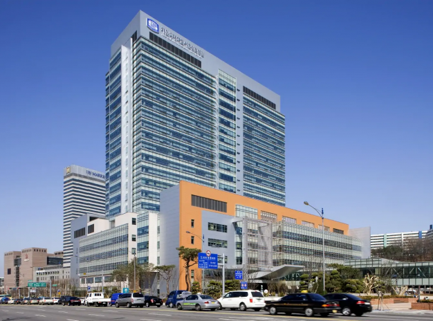 Клиника святой Марии (Seoul St. Mary's Hospital)