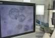 Институт Репродуктивной Медицины имени Дахно Ф. В., Украина, Киев - вид 4