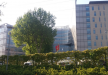 УНИВЕРСИТЕТСКИЙ ГОСПИТАЛЬ КОЧ (KOÇ UNIVERSITY HOSPITAL), Турция, Стамбул - вид 3